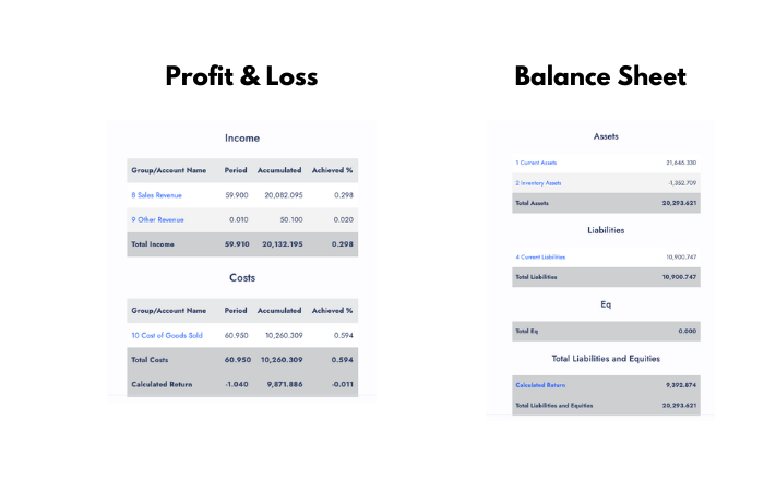 Financial Statement Image